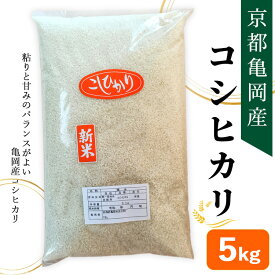 【ふるさと納税】令和7年産 京都亀岡産 コシヒカリ 5kg 精米仕立て 新米 白米 精米 お米 ※2025年11月中旬～12月下旬頃に順次発送予定