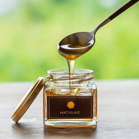 【ふるさと納税】はちみつ【数量限定】京都産 生はちみつ 130g×3個セット 二ホンミツバチの生はちみつ《国産 純粋 蜂蜜 非加熱 無添加 ハチミツ 希少 健康 免疫 朝食》