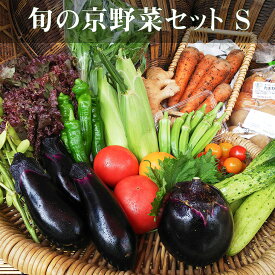 【ふるさと納税】《アスカ有機農園》旬の京野菜セットS≪野菜 やさい 京都 京野菜 セット 詰め合わせ 無農薬 有機 有機栽培 有機野菜 旬 新鮮 冷蔵 直送 ふるさと納税野菜≫☆月間MVPふるさと納税賞 第1号（2020年10月）・SDGs未来都市亀岡