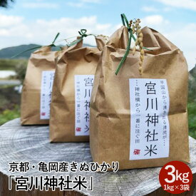 【ふるさと納税】京都・亀岡産きぬひかり「宮川神社米」3kg(1kg×3袋) 米 令和7年産 ※北海道・沖縄・離島への配送不可