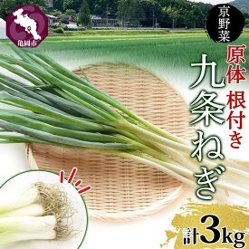 【ふるさと納税】九条ねぎ 原体 根付き 3kg 京のおねぎはん ｜ 京野菜 京都府産 葱 ネギ ラーメン うどん 味噌汁 お鍋 ねぎ焼き 薬味 業務用 常備菜 産地直送 お取り寄せ 熨斗 のし 対応（名入れ不可）送料無料 西陣屋 京都府 亀岡市 ※北海道・沖縄・離島への配送不可