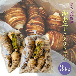 yӂ邳Ɣ[Łz̓` CV 3kg т񁃋sET ق܂farm b ш     炩 ϕ     󂠂 TCY 2025N1