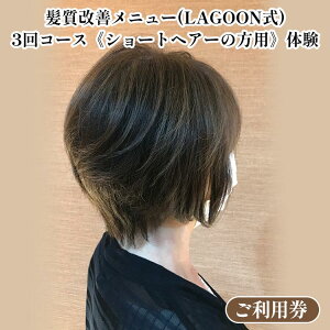 yӂ邳Ɣ[ŁzPj[iLAGOONj3R[XsV[gwA[̕ptš p e T e wAPA g[jO PA ě `Pbgt