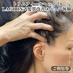 yӂ邳Ɣ[ŁzwbhXpEgtB[wbh  LAGOON Pj[ š p e T e wAPA g[jO PA ě `Pbgt