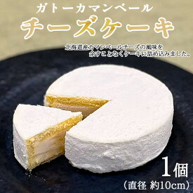 【ふるさと納税】ガトーカマンベール チーズケーキ ≪スイーツ デザート お菓子 洋菓子 人気 おすすめ グルメ ギフト≫ ※離島への配送不可