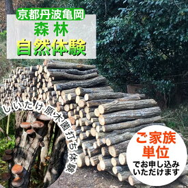 【ふるさと納税】春休み 自然体験 親子でしいたけ原木菌打ち体験（家族単位）原木5本持ち帰り可 体験 森林 椎茸 日帰り ピクニック 京都 丹波 亀岡 70th