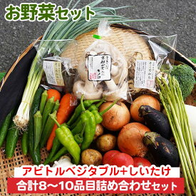 【ふるさと納税】お野菜セット アビトルベジタブル+しいたけ 合計8～10品目詰め合わせセット 季節の野菜 旬の野菜 やさい 新鮮 産地直送 きのこ キノコ 産直 国産 京都 京都産 ※北海道・沖縄・離島への配送不可