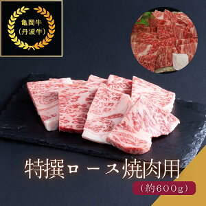 yӂ邳Ɣ[ŁzsiTEOgjI[Xēp 600g J[ V`[ Ă {[   Y s{Y Mtg  Hi  ւ̂͂s