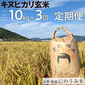 【ふるさと納税】【定期便】【令和6年産先行予約】米 キヌヒカリ 定期便 玄米 10kg×3カ月〈アグリにのうみ〉京都・亀岡産《令和6年産》※北海道・沖縄・離島への配送不可※2024年10月中旬頃より順次発送予定