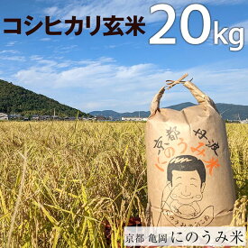 【ふるさと納税】【令和6年産先行予約】米 コシヒカリ 玄米 20kg〈アグリにのうみ〉京都・亀岡産《令和6年産》 京都丹波産※北海道・沖縄・離島への配送不可※2024年10月中旬頃より順次発送予定