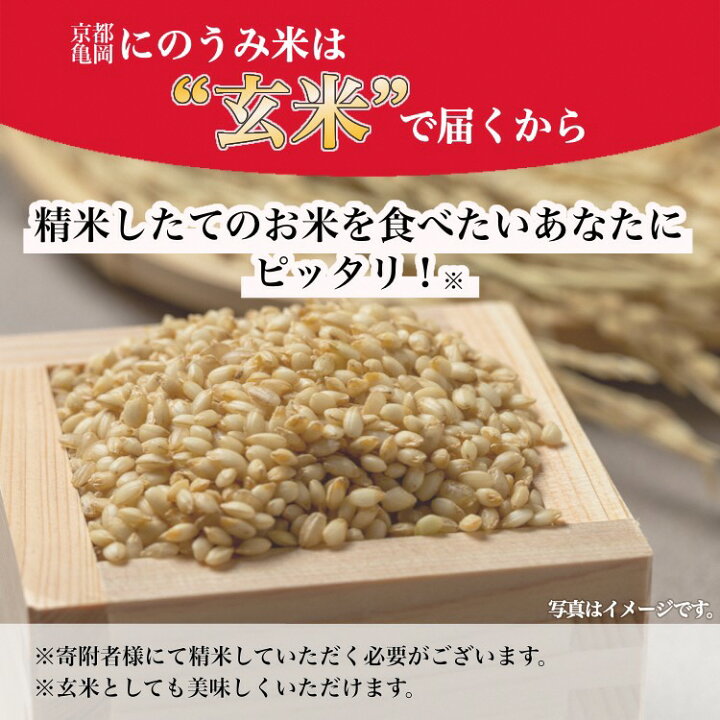 楽天市場】【ふるさと納税】【令和6年産先行予約】米 コシヒカリ 玄米  