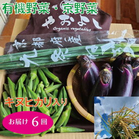 【ふるさと納税】亀岡産 キヌヒカリ 2kg ＆ 野菜詰め合わせ【定期便】合計6回お届け 有機野菜 ・ 京野菜 の『京都やおよし』オーガニック 有機栽培 農薬不使用 無農薬 減農薬 旬 新鮮 米 セット※着日指定不可※北海道・沖縄・離島への配送不可