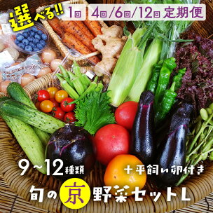旬の京野菜セットL（平飼い卵付）＜アスカ有機農園＞＊毎月お...