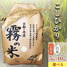 【ふるさと納税】亀岡盆地『霧の米』 白米 玄米 5kg 10kg（5kg×2袋）1回 4回定期便＜アスカ有機農園＞《令和7年 特別栽培米 コシヒカリ 米》