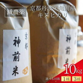【ふるさと納税】【令和7年産】米 10kg 京都・神前米 10kg 1回 3回定期便 ☆精米したてをお届け ≪減農薬 自家栽培米 生産農家 直送 白米 米 精米 クリーン白米≫