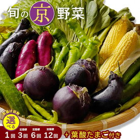 【ふるさと納税】旬の京野菜 レギュラーコース/スペシャルコース 選べるお届け回数 1回・3回・6回・12回 ≪定期便 京野菜セット 詰め合わせ ふるさと納税 野菜 送料無料≫ ※沖縄・離島・諸島へのお届け不可 TCP