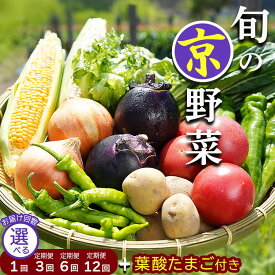 【ふるさと納税】旬の京野菜 定期便［選べるコース レギュラーコース・スペシャルコース】 【選べる回数 1回 3回 6回 12回】 京都ハバネロの里｜野菜 卵 定期便 6ヶ月 12ヶ月 京都 京野菜セット 詰め合わせ 野菜セット ふるさと納税 季節野菜 たまご ふるさと納税定期便