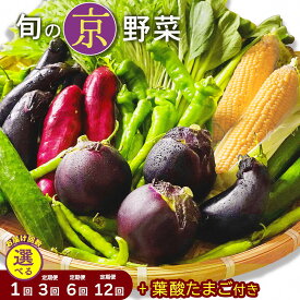 【ふるさと納税】旬の京野菜 定期便［選べる レギュラーコース・スペシャルコース】 1回・3回・6回・12回 京都ハバネロの里｜野菜 定期便 6ヶ月 12ヶ月 京都 京野菜セット 詰め合わせ ふるさと納税 野菜 ふるさと納税定期便 送料無料 ※沖縄・離島・諸島へのお届け不可