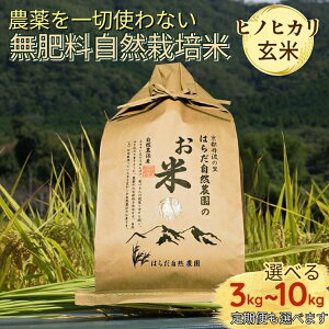 yӂ邳Ɣ[Łz ߘa7NY R͔| qmqJ _؎gȂ엿͔|  3kg 5kg 8kg 10kg Iׂ 1 3 6 10 3 6 10  ssOgY ōǐH lC
