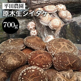 【ふるさと納税】【期間限定】原木生シイタケ 700g《平田農園》京都 亀岡産 原木栽培 生しいたけ 国産 肉厚 濃厚 料理 レシピ 栄養 農家直送 丹波 きのこ 椎茸 ※離島への配送不可 ※2026年3月下旬頃～4月上旬頃に順次発送予定