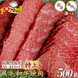 【ふるさと納税】【市制70周年記念】【高評価】京都産黒毛和牛 焼肉『A5 特上霜降り』『 A4A5 特上赤身』500g ハーフ(250g×2) 食べ比べ 選べる 冷凍 京の肉ひら山≪焼肉 丹波産 和牛 黒毛和牛 牛肉 亀岡牛 ふるさと納税牛肉 訳あり 生活応援 厳選≫