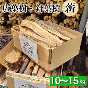 yӂ邳Ɣ[Łzd CZbg 10kg ` 15kgys{Ts쒬̐dzsLt jt ۑS dXg[u Lv AEghA OsO  RtSDGsssTkCE