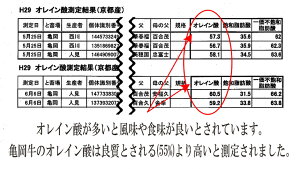 返礼品画像