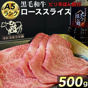 yӂ邳Ɣ[Łzs{Y јa [X XCX 500g A4EA5 + shۂ| Zbg ̓ ЂRIs󂠂  a  ntMVPӂ邳Ɣ[ŏ 1i2020N10jESDG