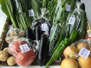 【定期便】旬の京野菜毎月お届けBコース(全6回)