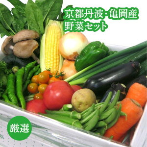 ファーマーズマーケットたわわ朝霧京都丹波・亀岡産野菜セット