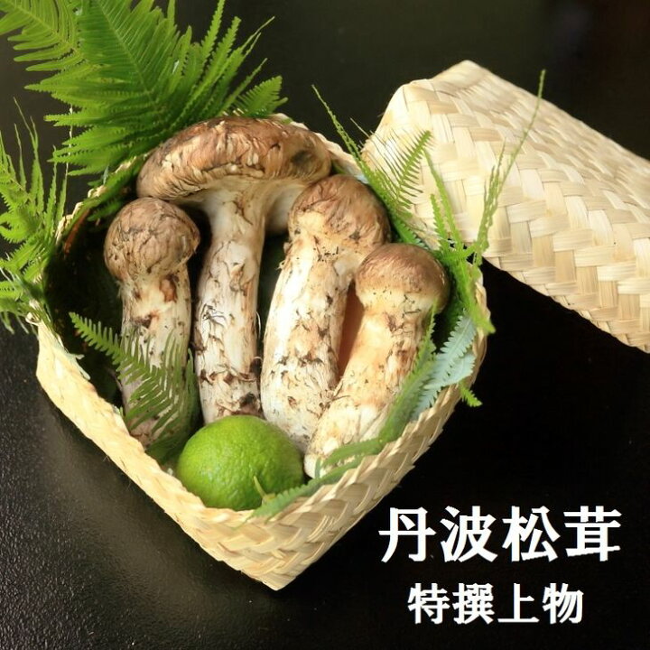 楽天市場】【ふるさと納税】【先行予約】数量限定 丹波松茸（篭入り  