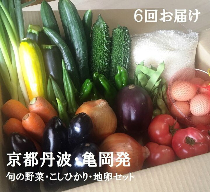 0円 59%以上節約 ふるさと納税 京都府福知山産 旬のお野菜詰め合わせセット 京都府福知山市 0円 59%以上節約 ふるさと納税 京都府福知山産 旬のお野菜詰め合わせセット 京都府福知山市