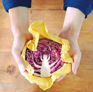 yӂ邳Ɣ[Łz݂낤VRbv aco wrap 2Zbg(SEM e1) { VRFsGRbv ݂낤bv Xt