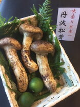 楽天市場】松茸 北海道の通販