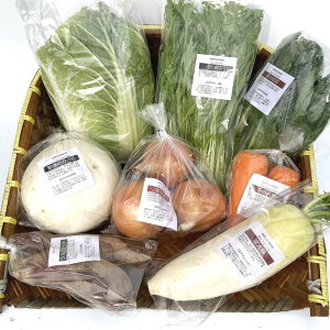 【ふるさと納税】【定期便】旬の京野菜毎月お届けレギュラーコース(全6回)※沖縄・離島・諸島へのお届け不可