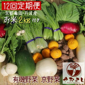 たけのこ 野菜 きのこ 野菜 きのこの人気商品 通販 価格比較 価格 Com