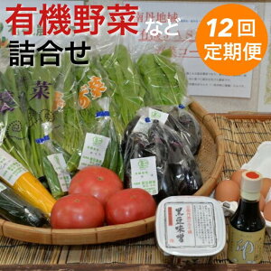 大根 有機栽培 食品の人気商品 通販 価格比較 価格 Com 大根 有機栽培 食品の人気商品 通販 価格比較 価格 Com