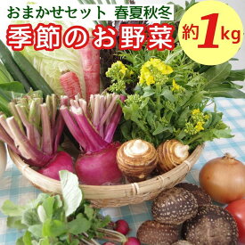 楽天市場 春野菜セットの通販