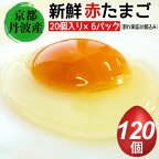 新鮮 卵 京都・丹波の赤たまご 100個＋割れ保証20個 計120個 《生卵 たまご 鶏卵 小分け 贈答 ギフト》◇☆月間MVPふるさと納税賞 第1号（2020年10月）・SDGs未来都市亀岡※北海道・沖縄・離島への配送不可