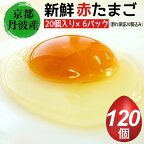 【ふるさと納税】新鮮 卵 京都・丹波の赤たまご 100個＋割れ保証20個 計120個 《生卵 たまご 鶏卵 小分け 贈答 ギフト》◇☆月間MVPふるさと納税賞 第1号（2020年10月）・SDGs未来都市亀岡※北海道・沖縄・離島への配送不可