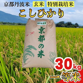 【ふるさと納税】【寄附額改定】【令和7年産】京都丹波米 こしひかり 玄米 30kg 《米 一等米 コシヒカリ 特別栽培米 減農薬》※北海道・沖縄・離島への配送不可【～3月31日まで】