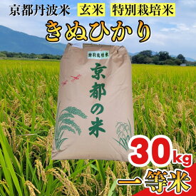 【ふるさと納税】【寄附額改定】【令和7年産】京都丹波米 きぬひかり 玄米 30kg《米 一等米 キヌヒカリ 特別栽培米 減農薬》※北海道・沖縄・離島への配送不可【～3月31日まで】