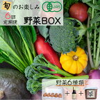 【6回定期便】＜京都・矢田の里＞産地直送！有機JAS認定 京野菜・農家のこだわり野菜・新鮮卵など お楽しみセット 隔月6回お届け≪オーガニック 栽培期間中農薬・化学肥料不使用 定期便 野菜 ふるさと納税野菜≫