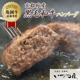 【ふるさと納税】【訳あり・生活応援】黒毛和牛 ハンバーグ 手ごね 150g×4個/150g×8個 京都 いづつ屋 肉屋 自家製 国産 亀岡牛 国産豚≪訳あり 生活応援 牛肉 豚肉 お肉 肉 冷凍≫選べる おいしい 簡単 惣菜 おかず おすすめ 人気 お試し 送料無料 ※期間限定・特別価格