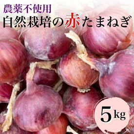【ふるさと納税】【2026年産 予約】赤たまねぎ 5kg 京都府・亀岡産 自然栽培のかたもとオーガニックファームよりお届け ※2026年6月頃より順次発送予定 ※離島への発送不可