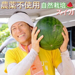 yӂ邳Ɣ[Łzy2026NY \z 1 s{ETY R͔|̂ƃI[KjbNt@[肨͂ 2026N8菇\ ւ̔s