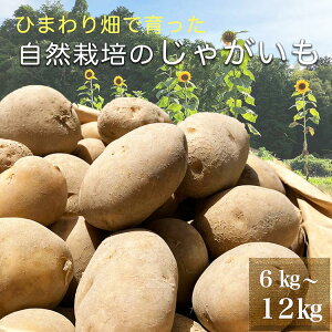 yӂ邳Ɣ[Łzys\z_Iׂeʁ^ Ђ܂蔨ňR͔|̂Ⴊ 6kg`12kg s{ETY ƃI[KjbNt@[肨͂b 󂠂 Ⴊ  