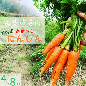 【ふるさと納税】\選べる内容量/人参 4kg〜8kg【期間限定】自然栽培の甘い 葉付き人参 京都府・亀岡産 かたもとオーガニックファームよりお届け 《訳あり サイズ不揃い にんじん 国産 京