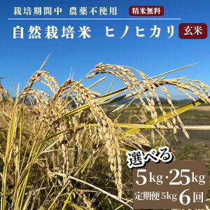 yӂ邳Ɣ[Łz \ ߘa7NY R͔| qmqJ  5kg / 25kg / 5kg×6  s{ETY ͔|Ԓ_sgp ւ̔zs 2025N12菇\ MV