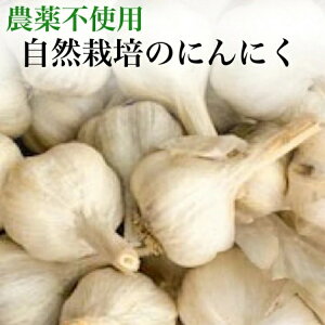 yӂ邳Ɣ[Łzy2025NYzɂɂ 1kgE5kgE10kg s{ETY R͔|̂ƃI[KjbNt@[肨͂ ւ̔s 2025N6{`9{ɏ\ 